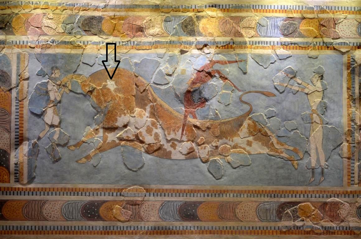 bull leaping fresco